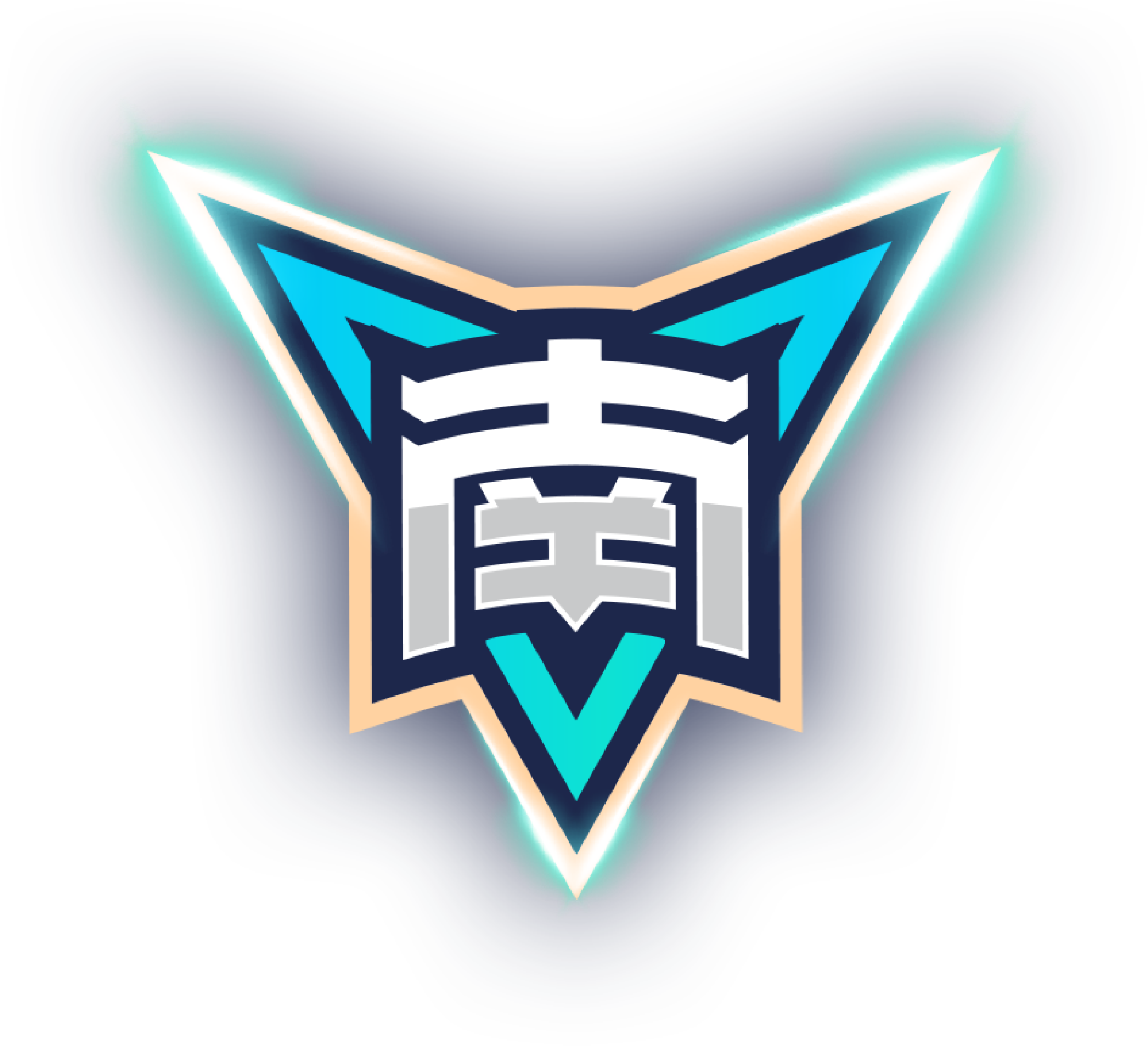 博塔弗戈